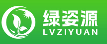 淮北綠姿源苗木種植有限公司